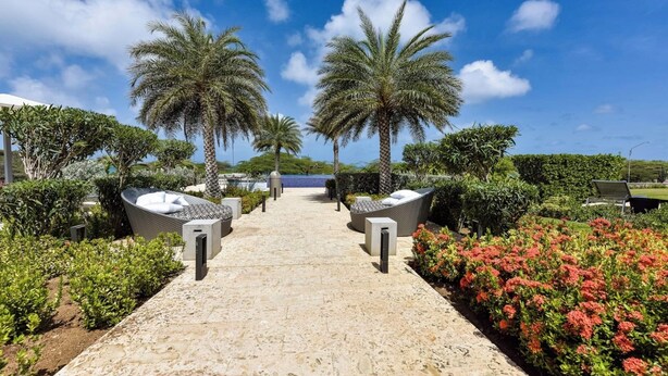 A pathway leading to a pool area with palm trees and outdoor seating. - Villa Walking Distance to Eagle Beach (Noord)