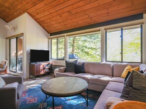 Smart TV, fireplace, DVD player, video library