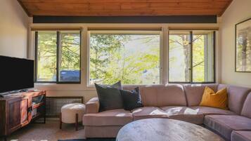 Smart TV, fireplace, DVD player, video library