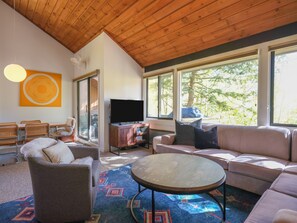 Smart TV, fireplace, DVD player, video library