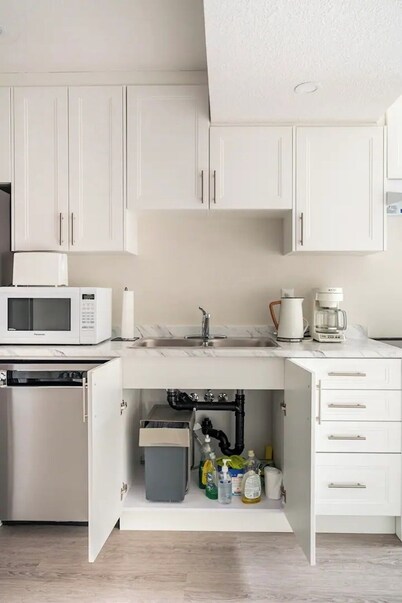 3BR Sunshine basement w separate entrance Waterloo