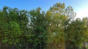 A fenced outdoor area with trees and numbered signs, likely indicating sections or areas within a park or garden. - The charm of Touraine (Fondettes)