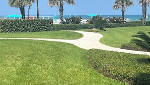 A well-maintained grassy area with a curved pathway leading to a beach. Palm trees line the path, and there are umbrellas and lounge chairs visible in the background. - ERROL BY THE SEA, 2bdrm 2 bath FIRST FLOOR (New Smyrna Beach)