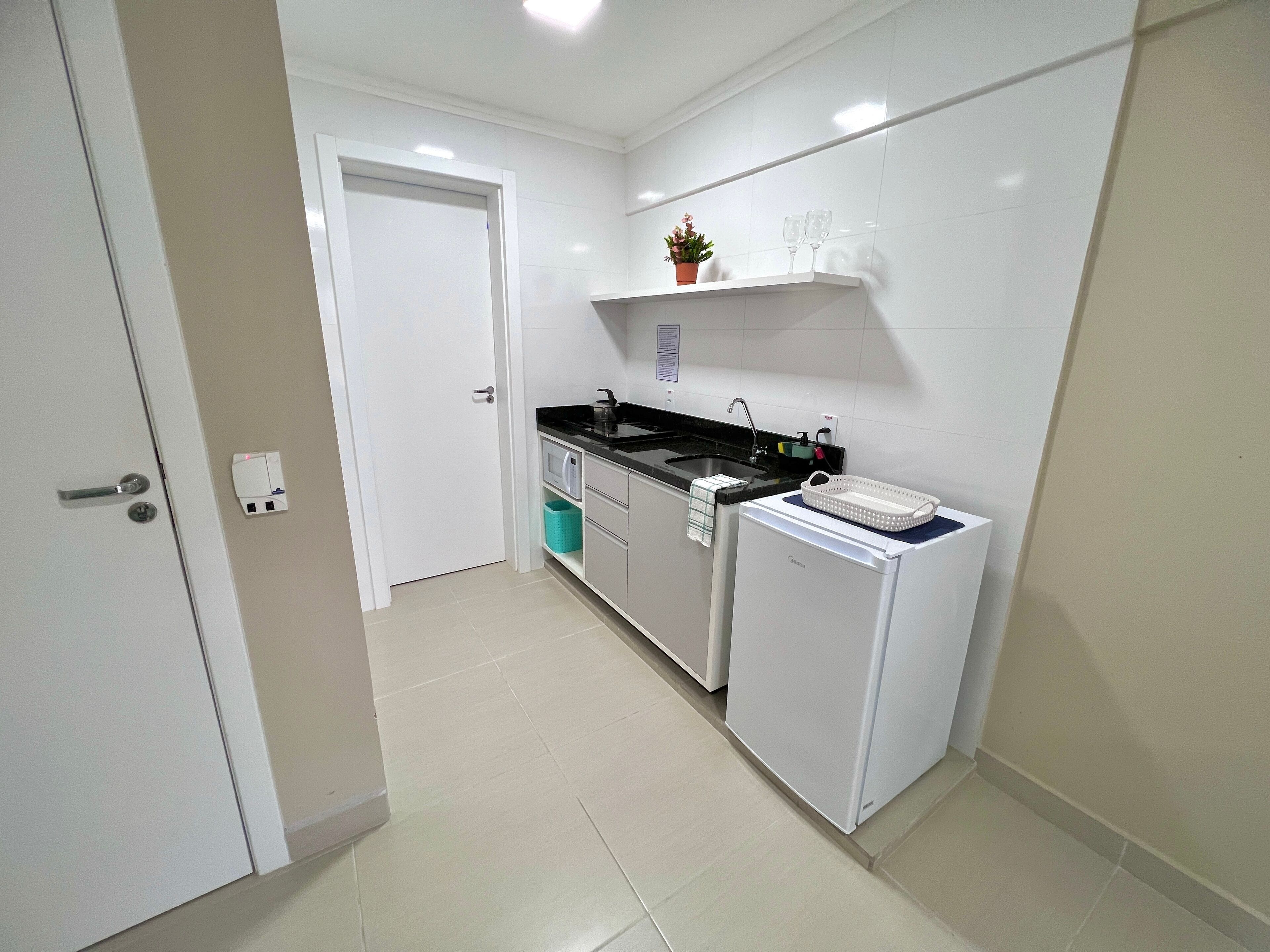 A compact kitchen with a white refrigerator, a black countertop, a sink, and a small potted plant on a shelf.