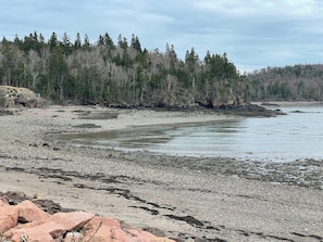 A rocky shoreline with a forest in the background.