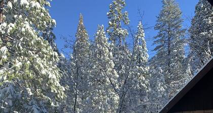 Cozy 4 bedroom Cabin with Hot Tub and BLS & Sequoia Woods access