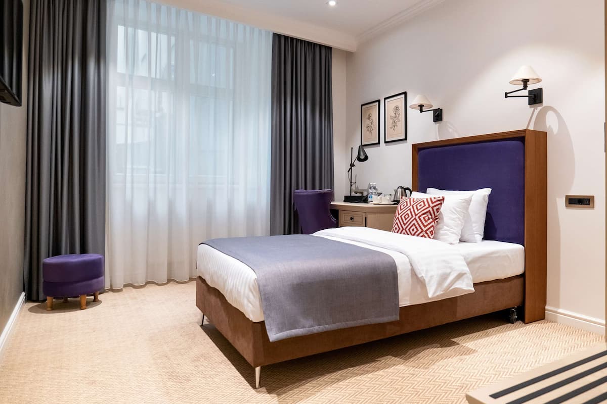 Standard Room, 1 Single Bed, Mobility Accessible, Non Smoking | View from room