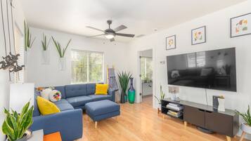 Smart TV, music library, stereo