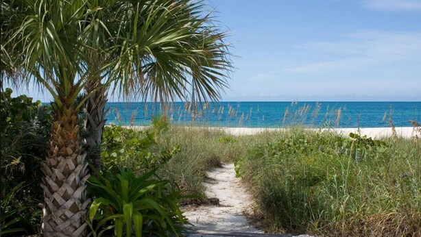 A pathway leading to a beach with a palm tree and greenery on the left. - Cheerful 3 bedroom home with pool -- 5 min from beach! (Nokomis)