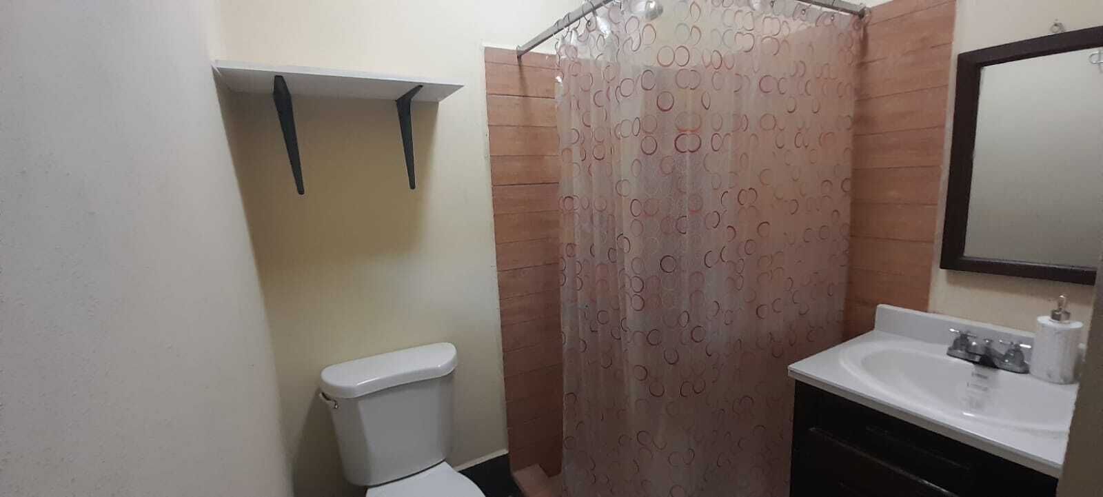 Shower, towels, toilet paper