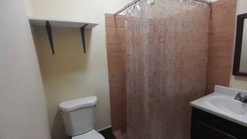 Shower, towels, toilet paper