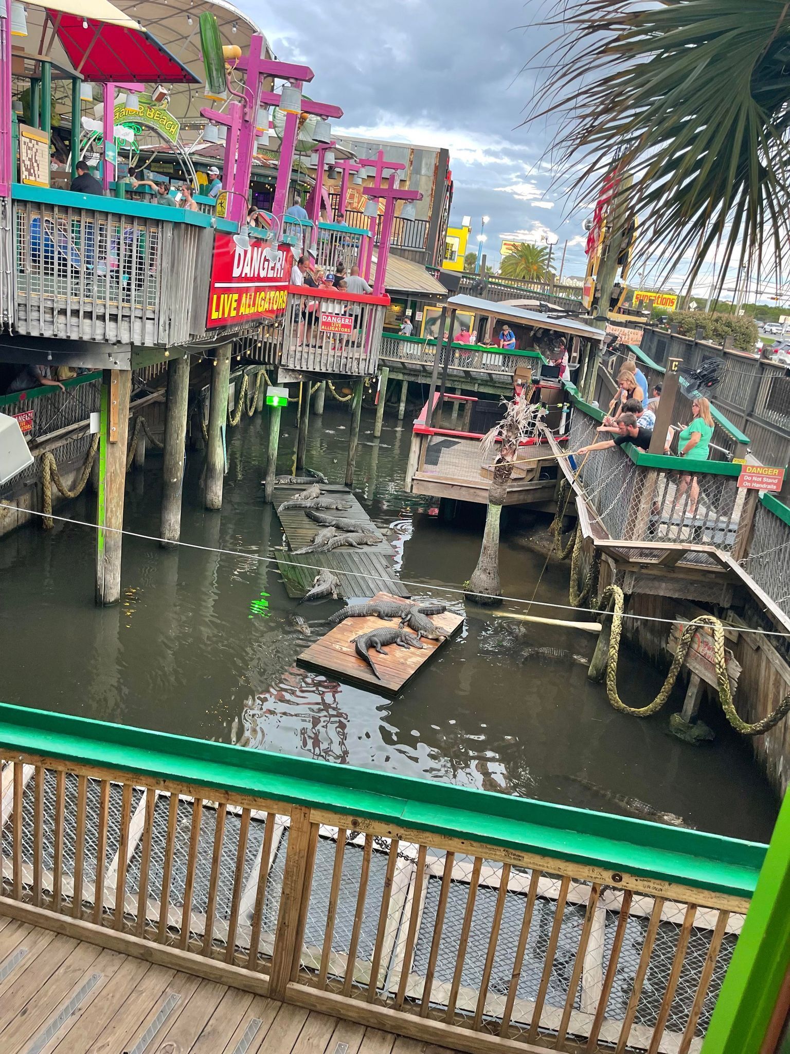 Une attraction sur le thème de l’eau, dotée de passerelles et de plateformes en bois, où l’on peut observer des alligators vivants.