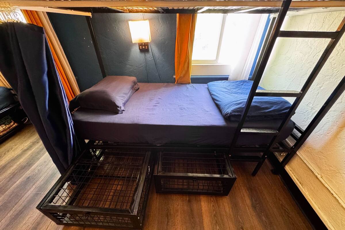 Basic Shared Dormitory (Female only) | 熨斗/熨衫板、免費 Wi-Fi、床單