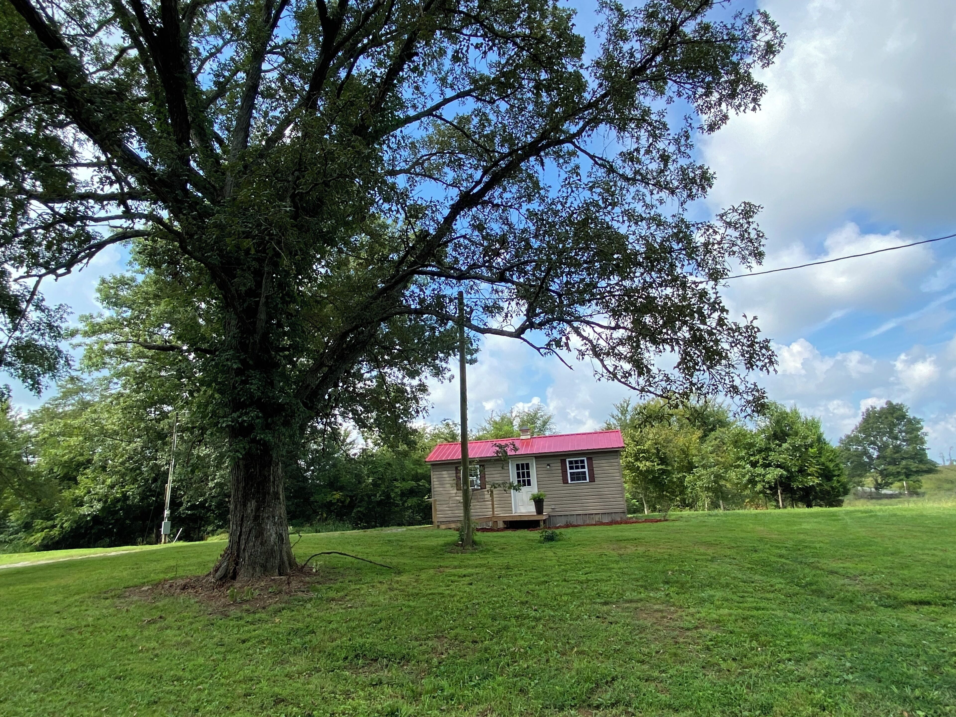 A house with a red roof, surrounded by a grassy yard and a large tree.