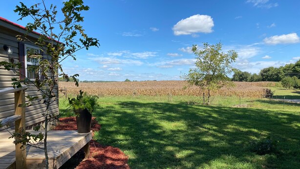 Una terraza de madera con un árbol pequeño y una maceta, un campo de maíz al fondo y un cielo azul despejado.