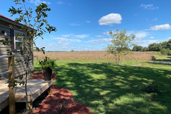 Àrea exterior de l'allotjament