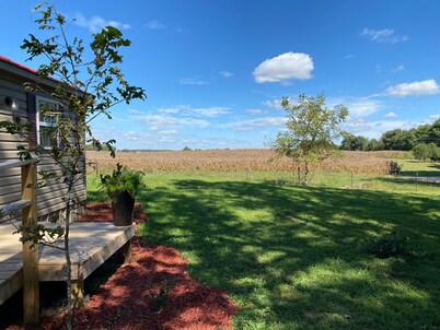 Cozy 12x24’ big charm small house on 350 acre grain beef farm near Mammoth Cave!