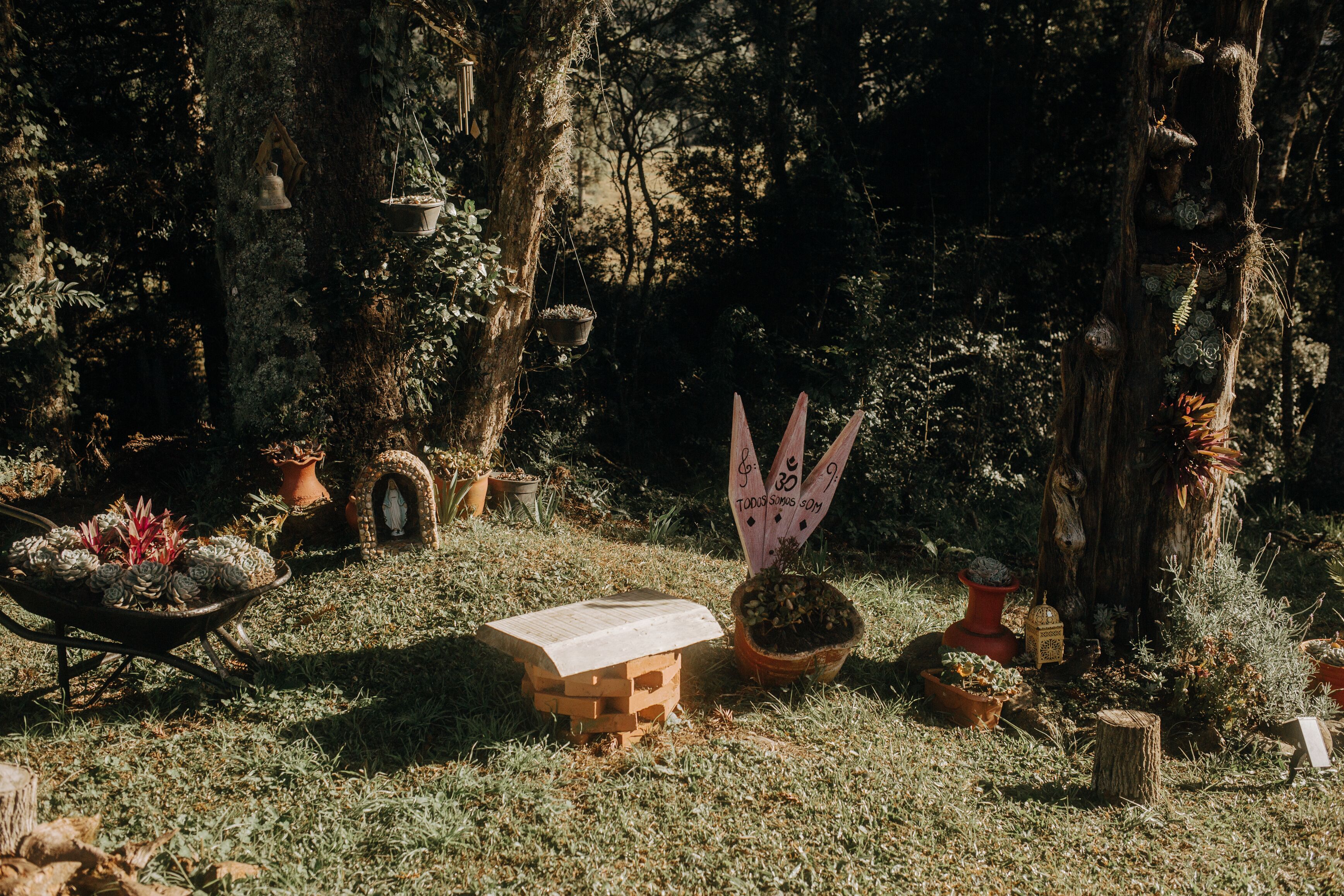 A rustic outdoor setting with various potted plants, a wooden structure, and hanging decorations.