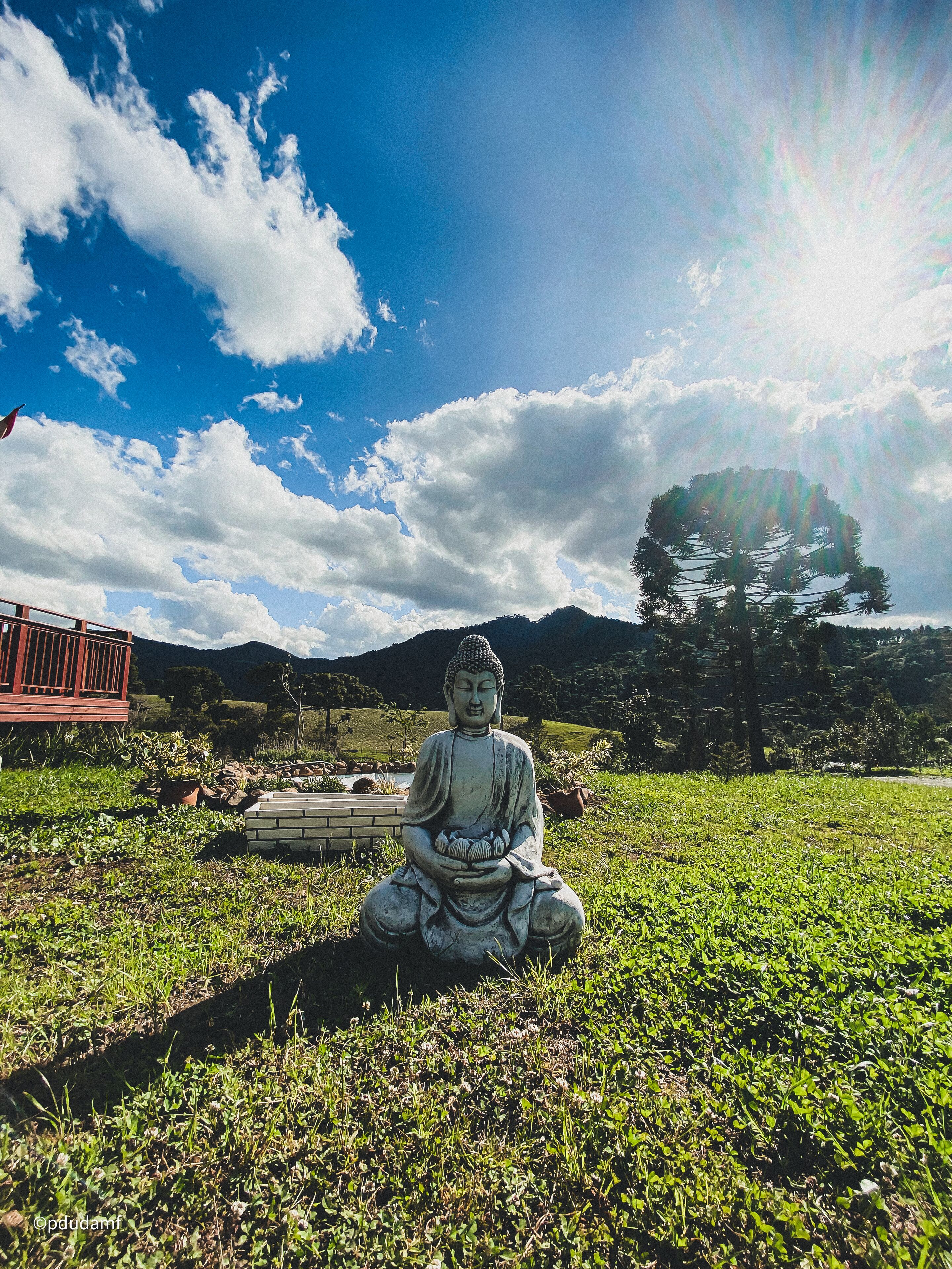 Una statua di Buddha in un'area erbosa, con cielo sereno e montagne sullo sfondo.