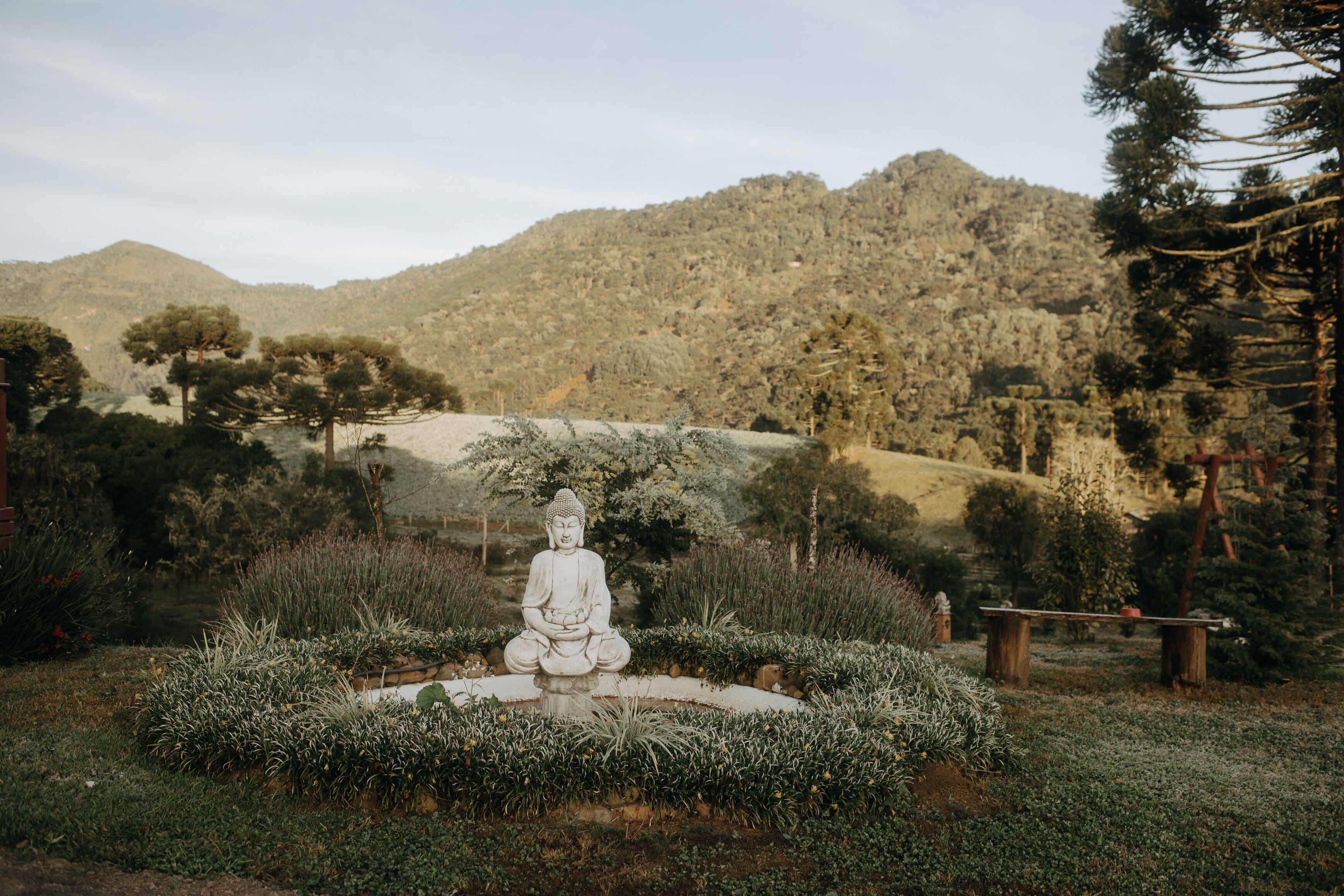 A serene garden with a Buddha statue surrounded by lush greenery and a mountainous backdrop.