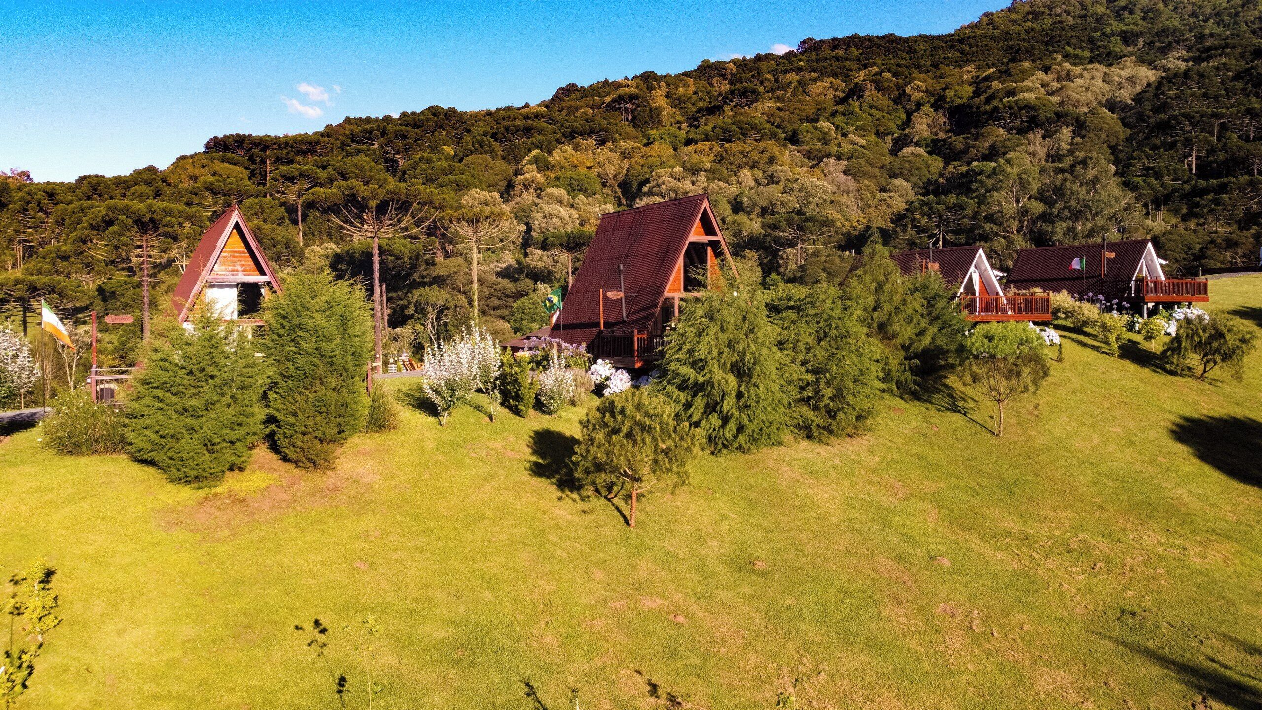 A rural setting with three cabins surrounded by lush greenery and a forested hill in the background.