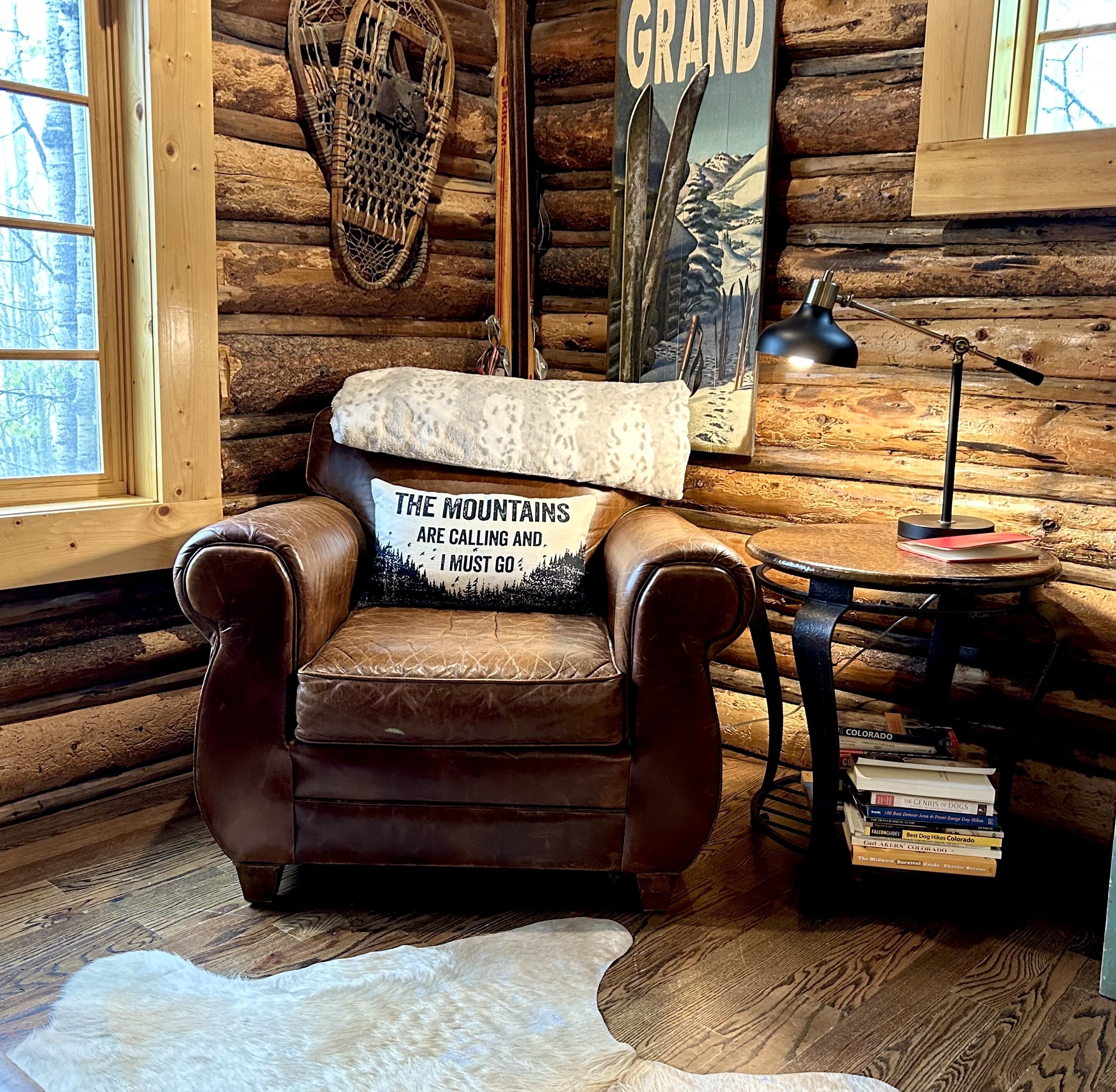 TV connectée, cheminée, lecteur de DVD, livres