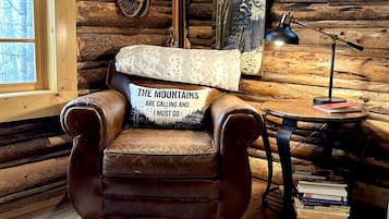 TV connectée, cheminée, lecteur de DVD, livres