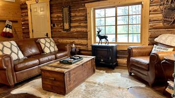 Smart TV, fireplace, DVD player, books