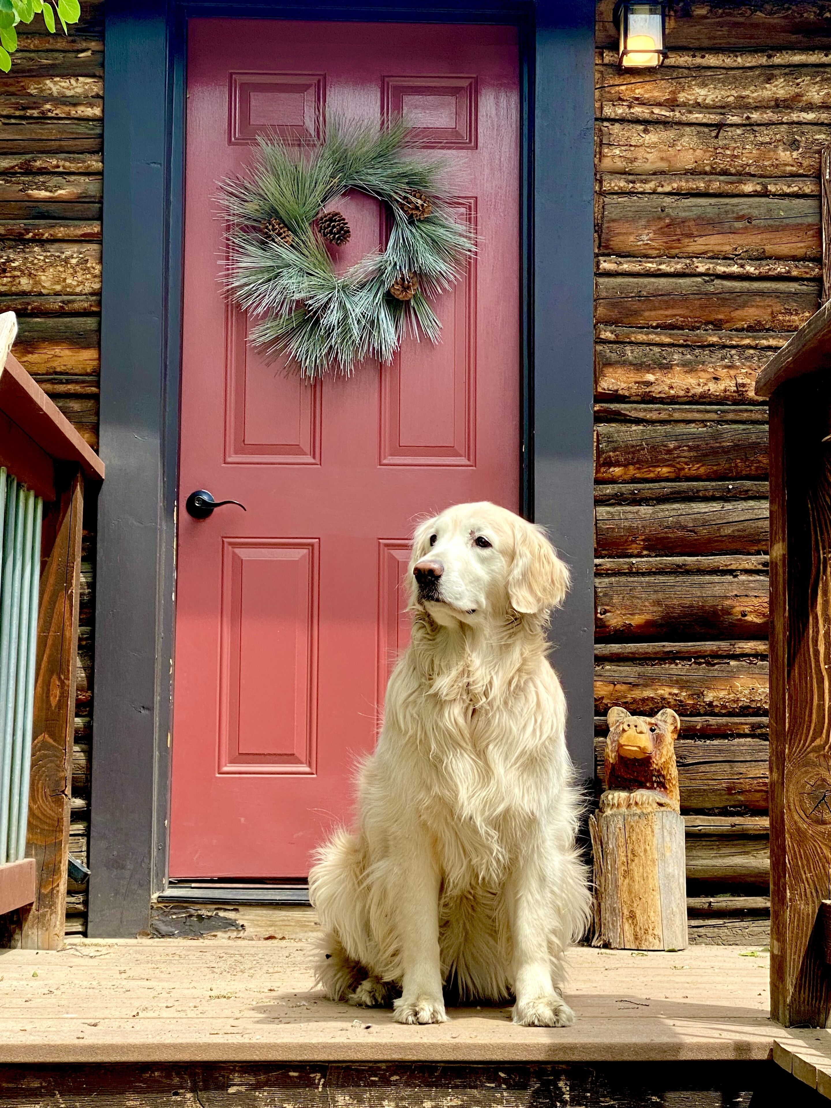 Détail de l’extérieur