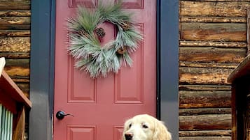 DĂ©tail de lâextĂ©rieur