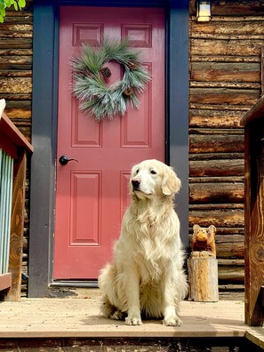 A dog sitting in front of a red door with a wreath, wooden walls, and a bear sculpture.