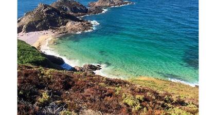 Gite hotel in the heart of nature, destination Mont St Michel-St Malo. Pets allowed