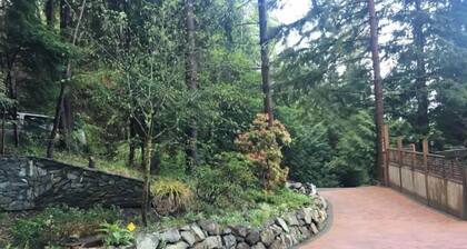 Charming Nest 2BDR/2BTH - Pacific Ocean beach 800 m from this home