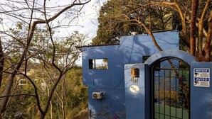 A blue building with a gate, a notice board, and a small window. - Digital Nomad's Dream in Paradise II (Sayulita)
