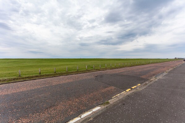 A road with a grassy field on one side and a paved road on the other.