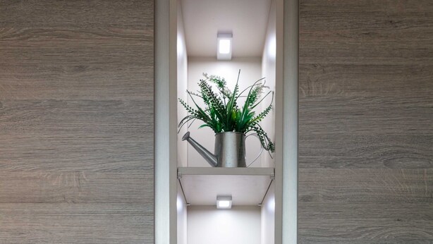 A narrow, vertical shelving unit with three shelves, each holding a potted plant. - West Sands - Donnini Apartments (Ayr)