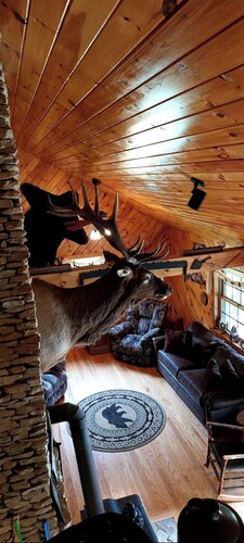 Charming Private Cabin that  is cozy and quiet.  Sleeps 7 with two bathrooms.