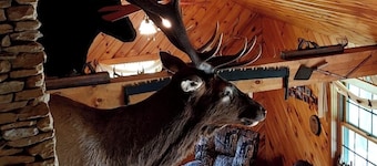 Charming Private Cabin that is cozy and quiet. Sleeps 7 with two bathrooms.