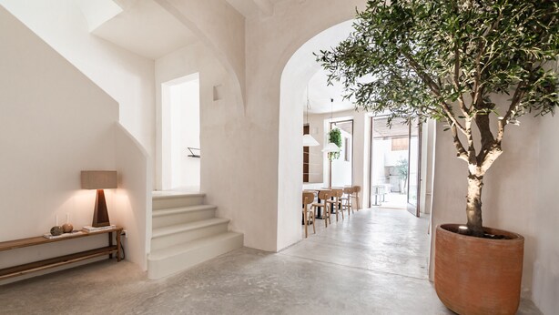 A spacious hallway with a large potted tree, a staircase, and a bench with a lamp. - Meem Townhouse (Sóller)