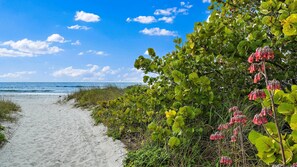 Condo, 3 Bedrooms | Property grounds - San Remo by Sandy Beach Vacations (Redington Shores)