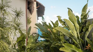 Un sendero bordeado de exuberante vegetación tropical que lleva a un edificio con techo de paja.