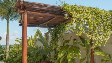 A wooden pergola with vines, a palm tree, and a concrete patio with lounge chairs.
