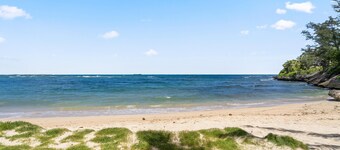 Laie Cottage by the Sea - Striving for an Eco-Friendly & Sustainable Home