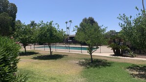 Zona de piscina con piscina cercada, rodeada de árboles y césped.