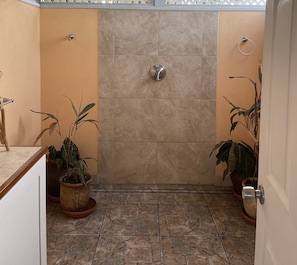 Un baño con ducha, plantas en macetas y suelo de baldosas.