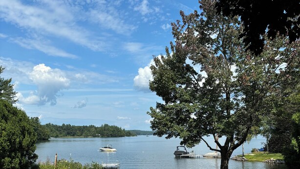 Un espacio con césped y vistas a un lago, barcos y un árbol.