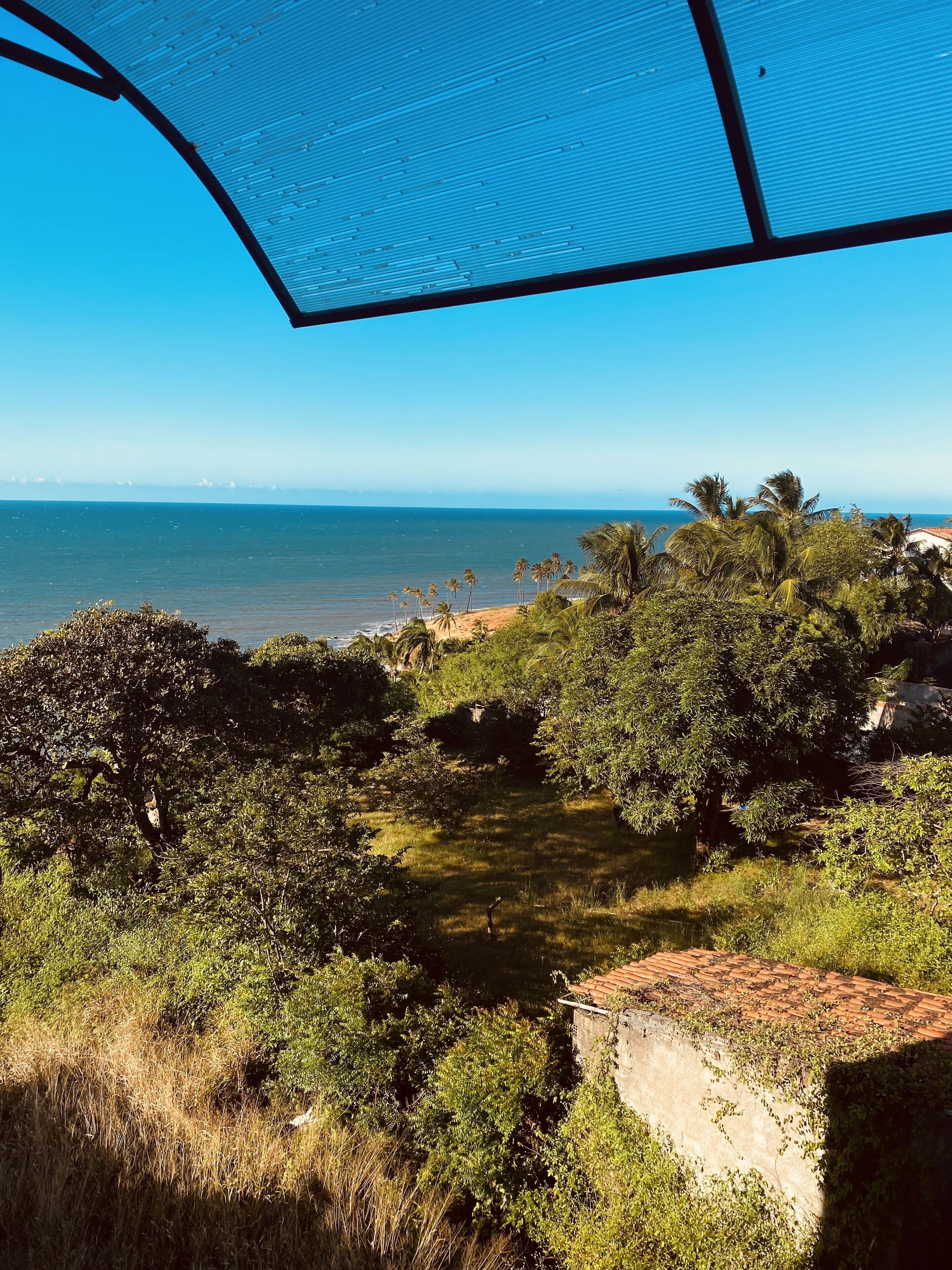 Vista de una playa con palmeras y un cielo azul despejado.