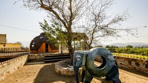 Ngoại thất