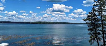 Oceanfront Jellison Beach House, fire pit, 1dog