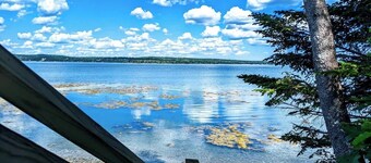 Oceanfront Jellison Beach House, fire pit, 1dog